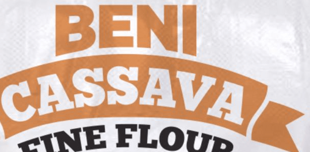 BENI International Company logo