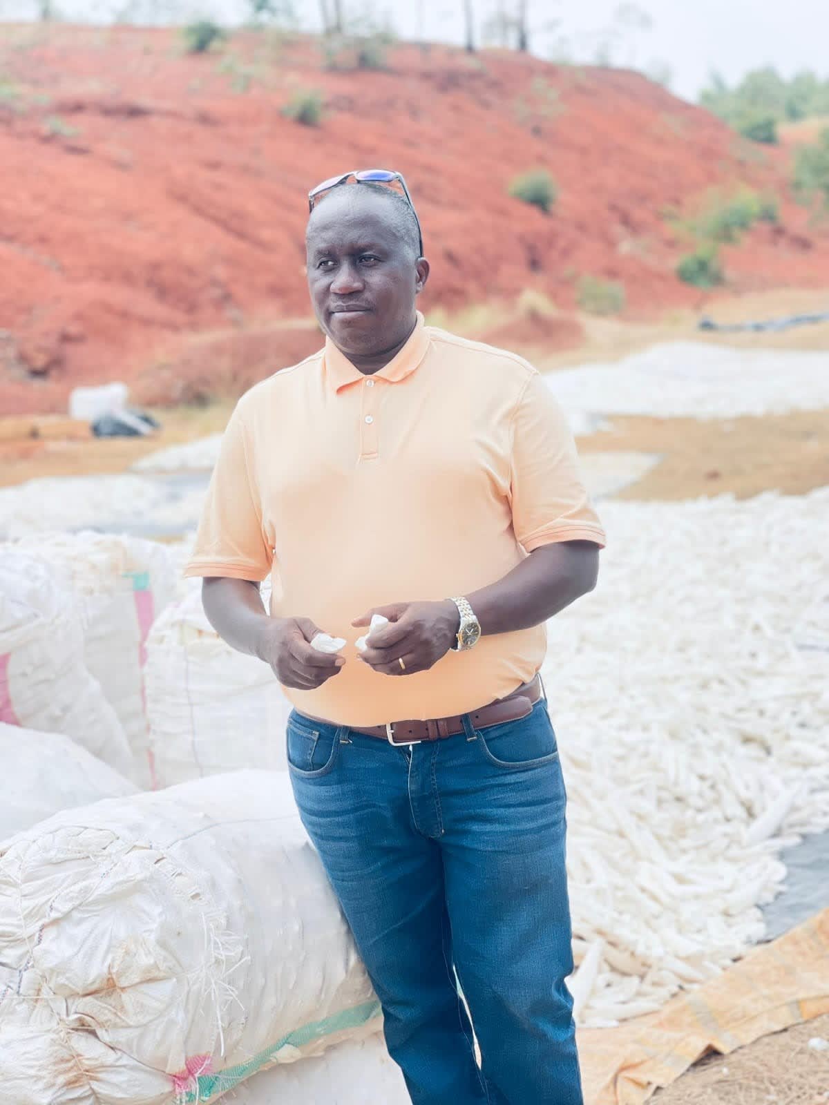 Cassava drying at origin