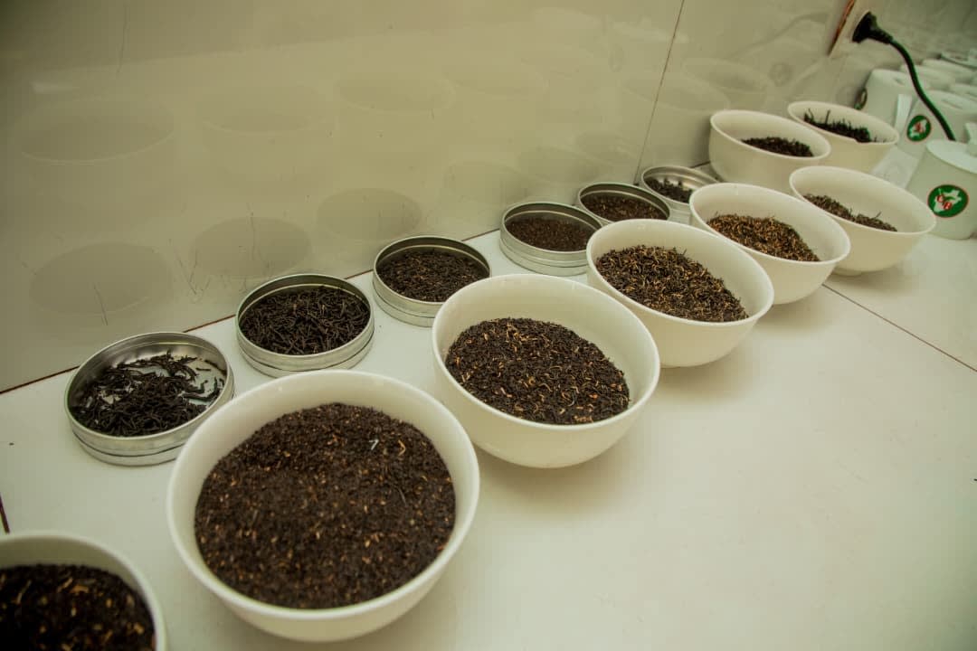 Cupping samples