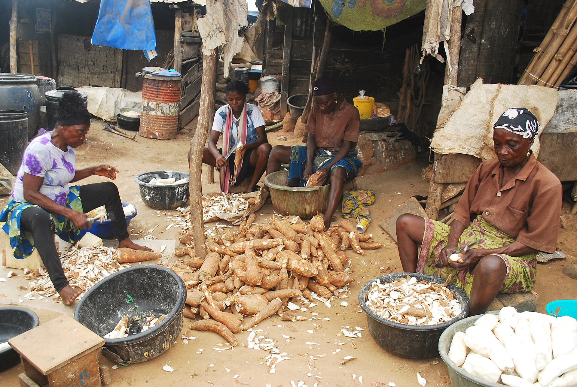 Peeling cassava