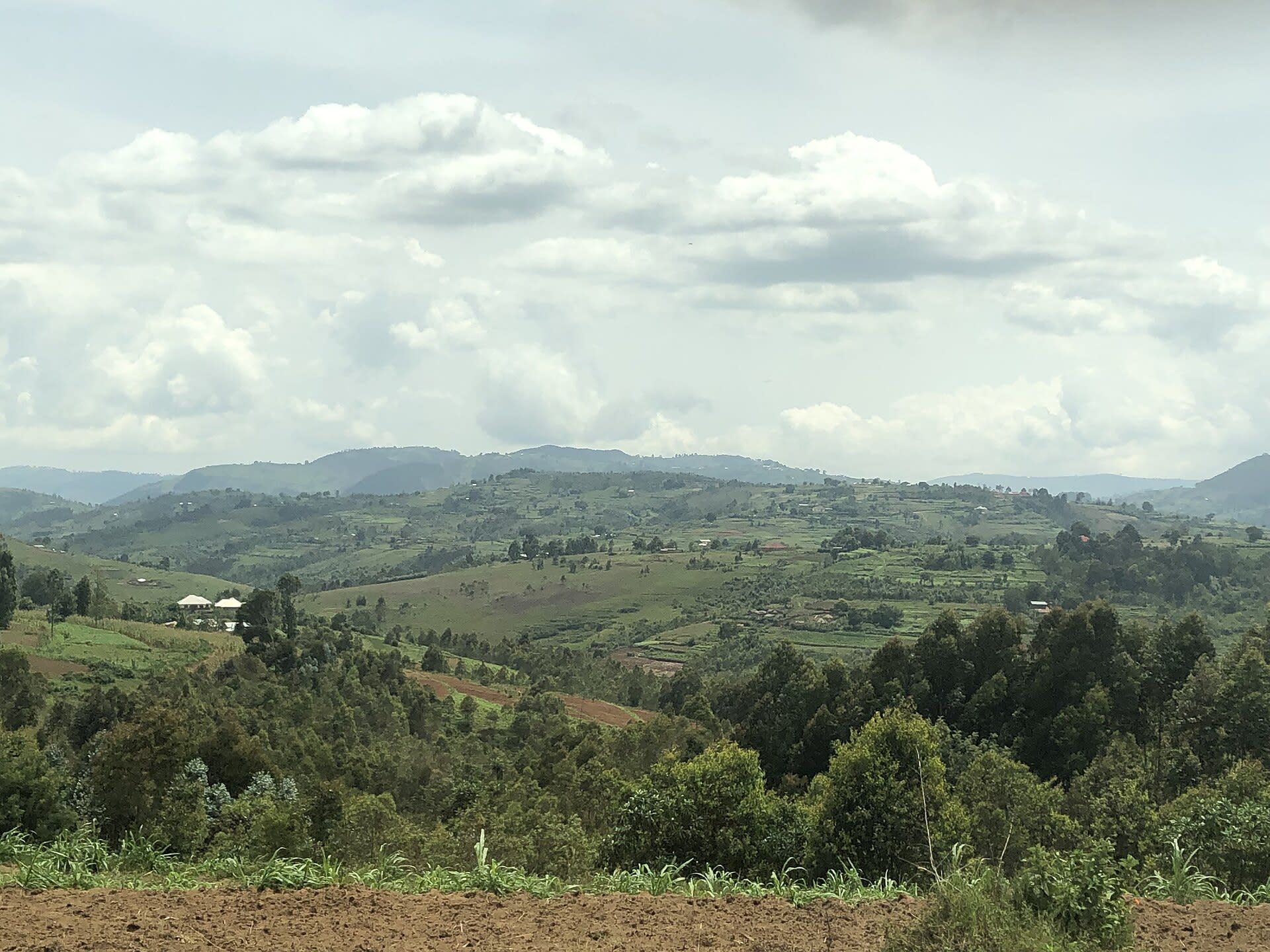Rolling hills of Burundi