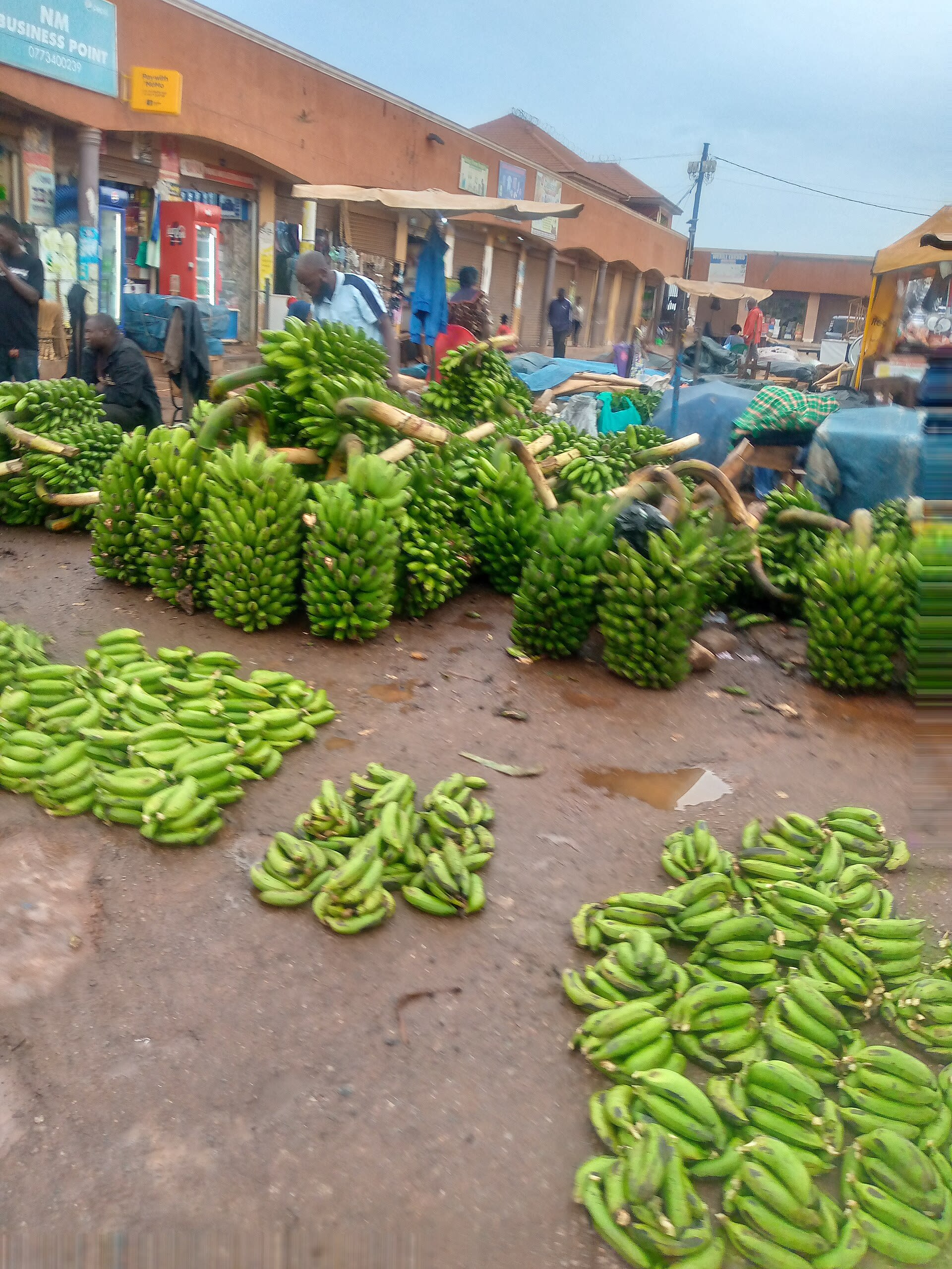 At the roadside market