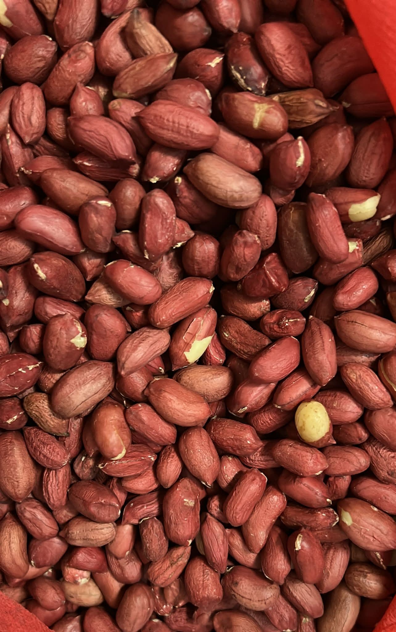Groundnut kernels