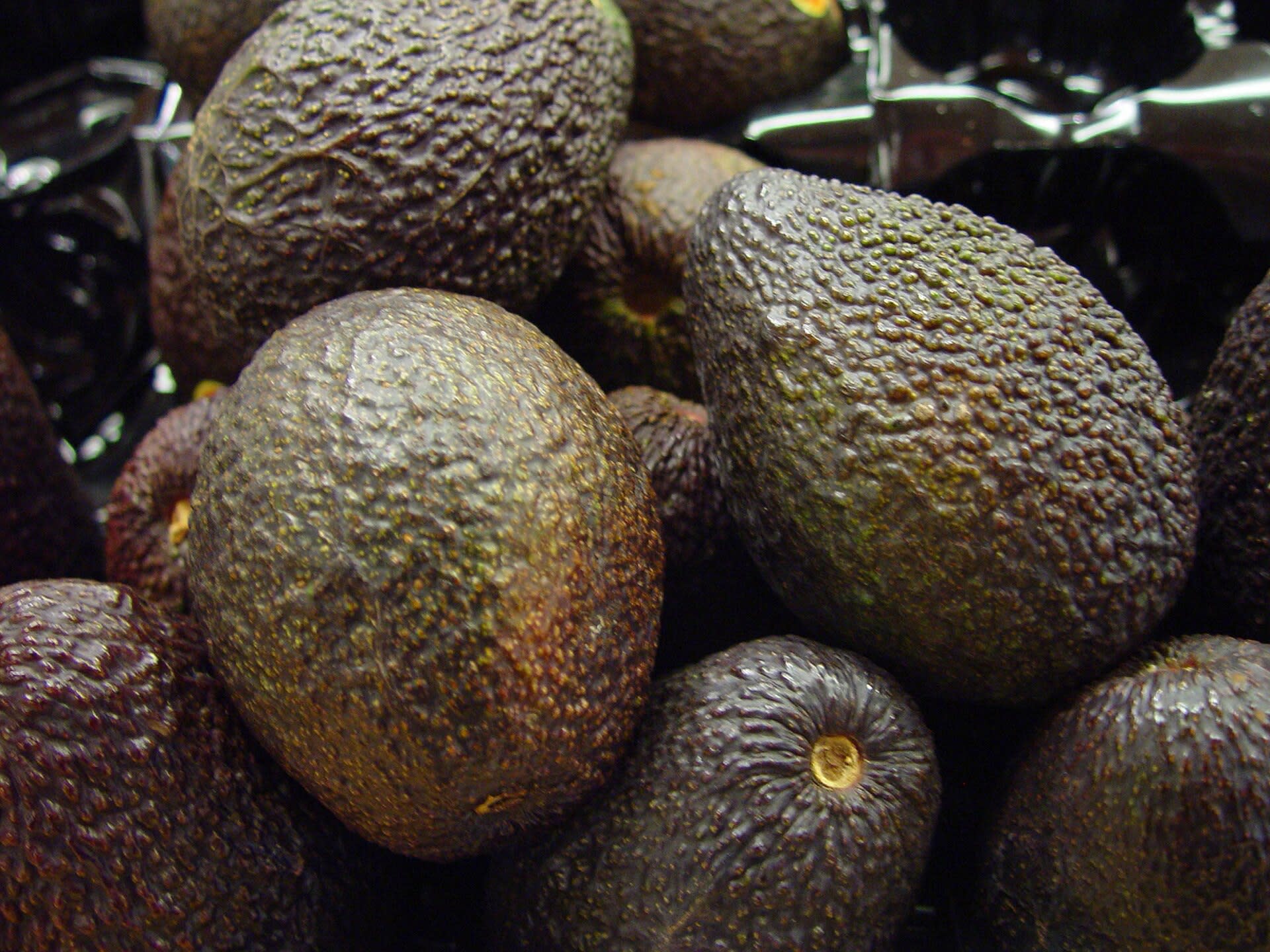 Hass avocados