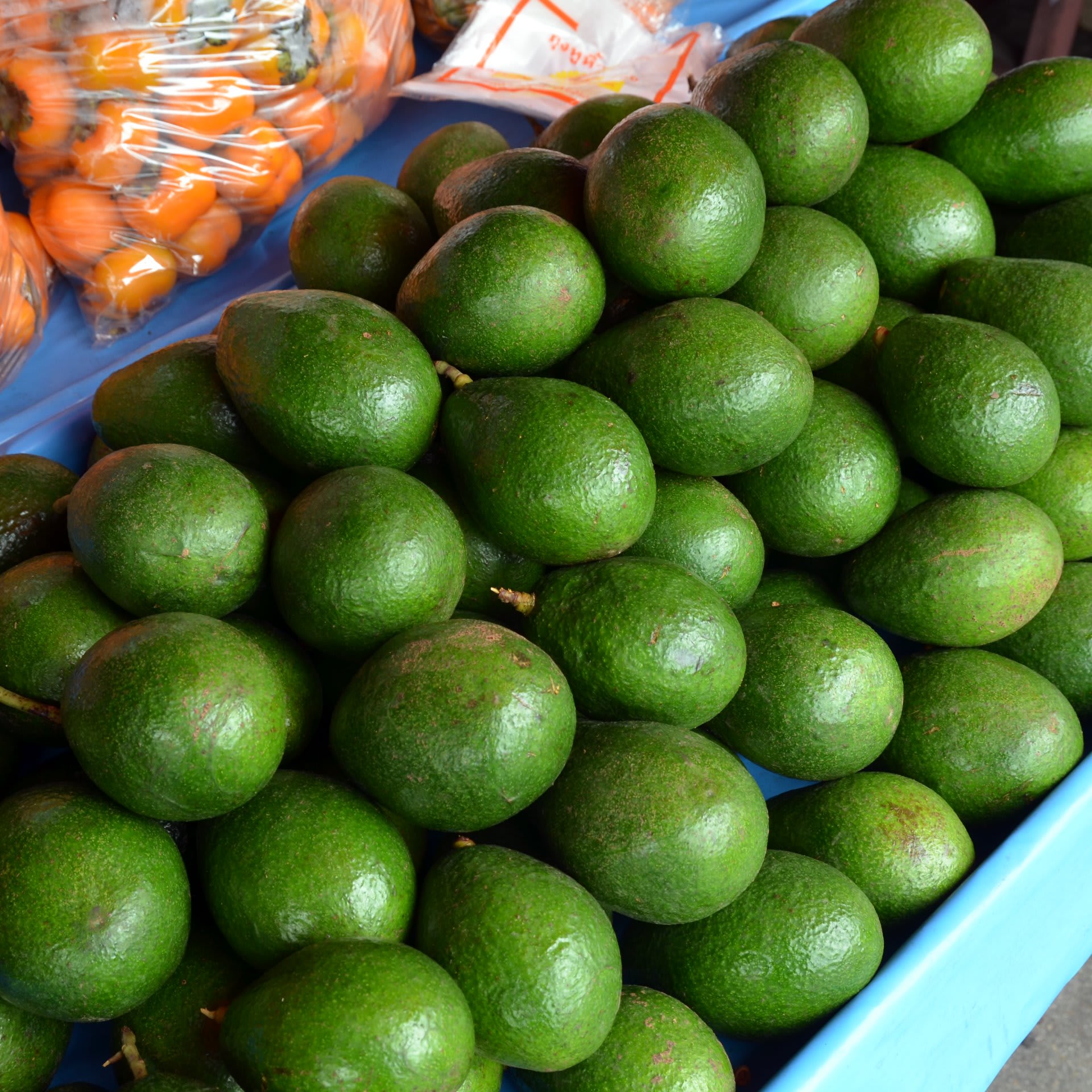 Avocados sorted for market