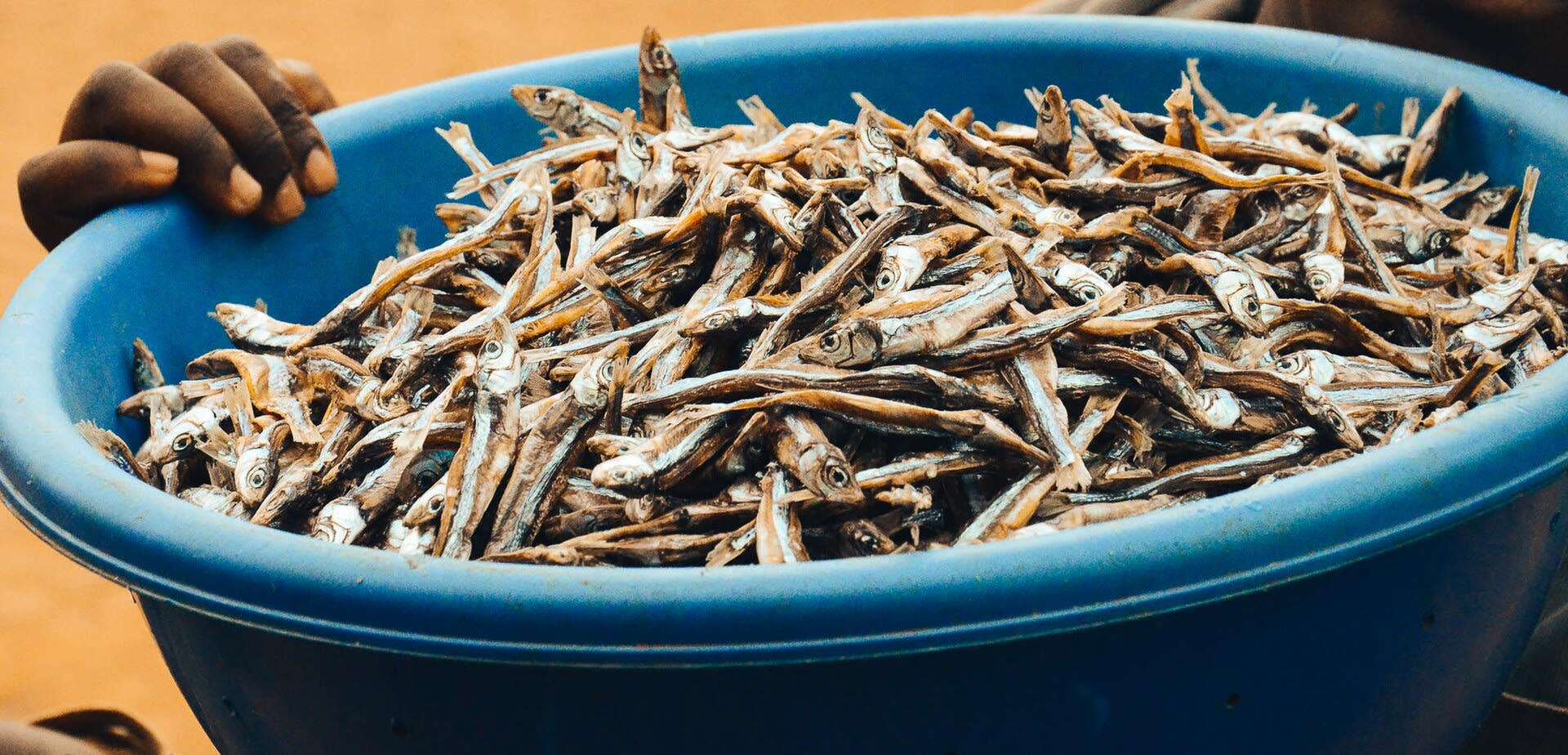 Sun-dried small fish